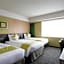 Daiwa Roynet Hotel Nara Natural Hot Spring