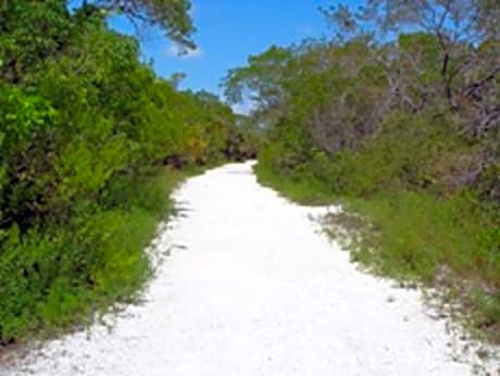 Tropical Winds Motel & Cottages