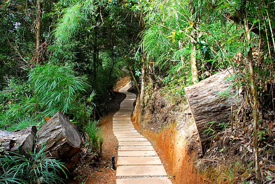 Dantica Cloud Forest Lodge