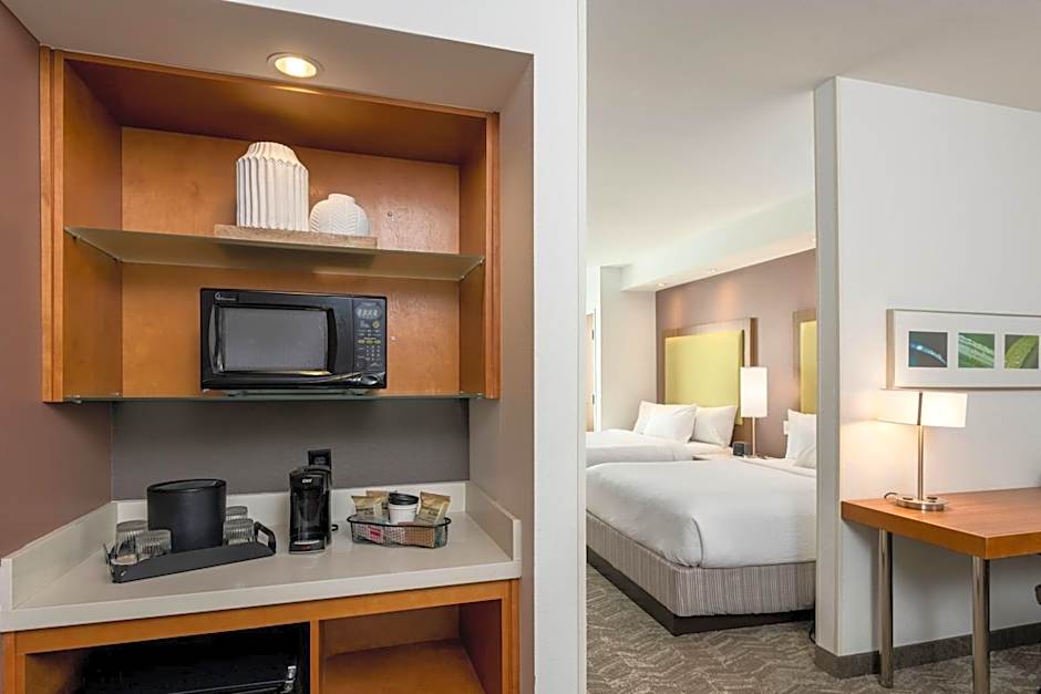 SpringHill Suites by Marriott Lafayette South at River Ranch