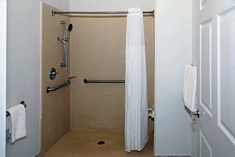1 King Bed Suite Nonsmoking Accessible
