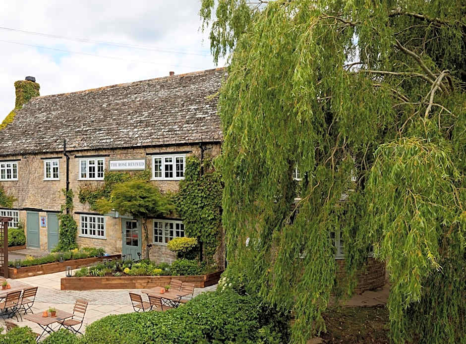 Rose Revived by Chef & Brewer Collection