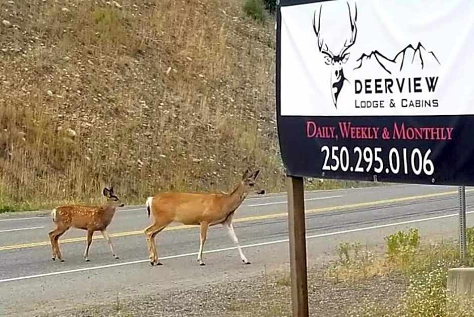 Deerview Lodge & Cabins - Princeton BC