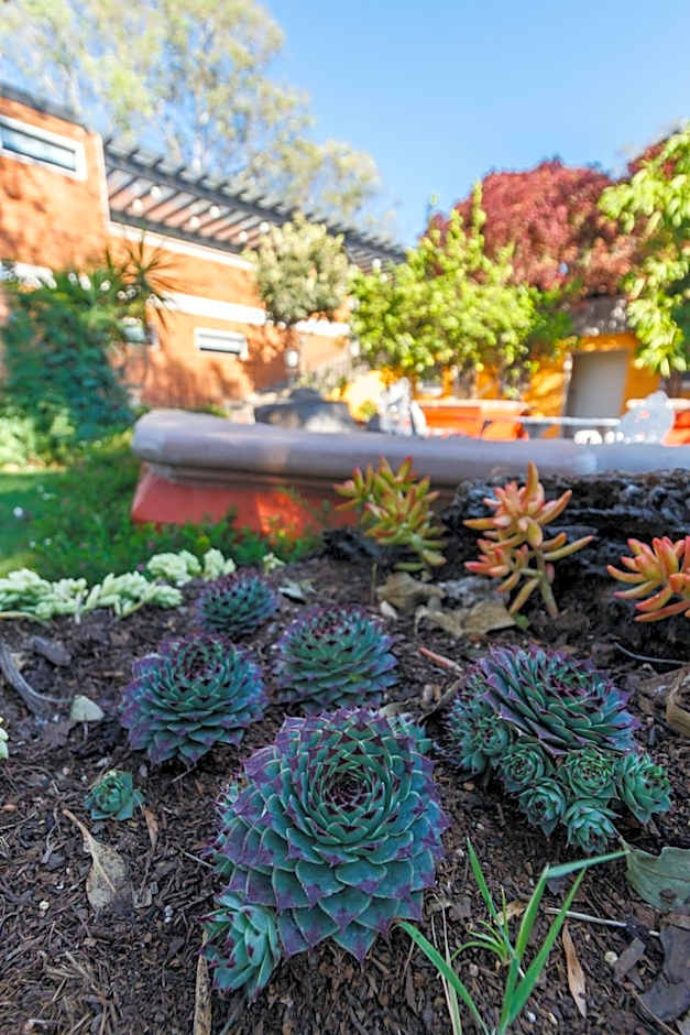 Hotel Hacienda Montesinos