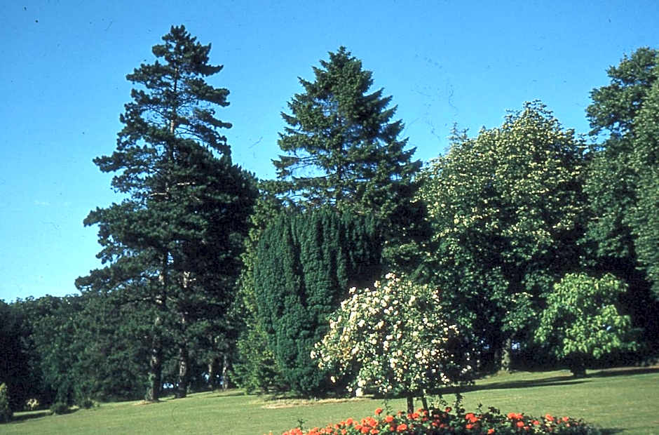 Brandshatch Place & Spa