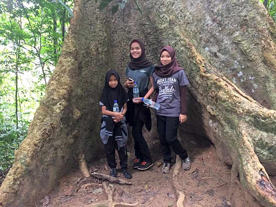 Dtahan Motel Taman Negara