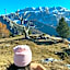Arya Alpine Lodge
