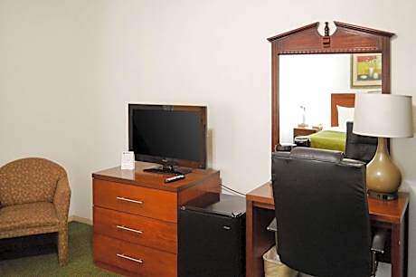 1 King Bed, Nonsmoking