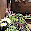 The Bugle Inn Botley