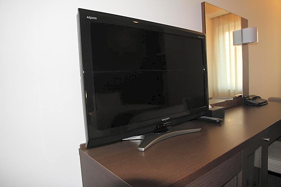 Hotel Ascent Plaza Hamamatsu