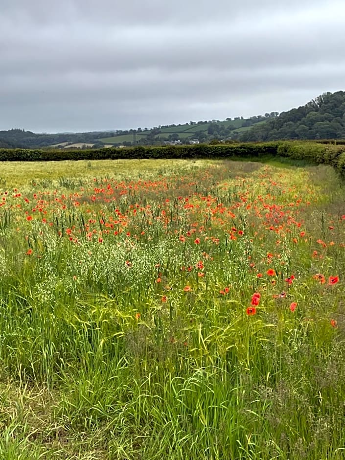 Westerley Country B & B with exclusive Guest lounge