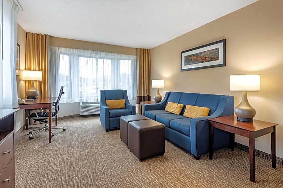 Comfort Inn & Suites Montpelier-Berlin