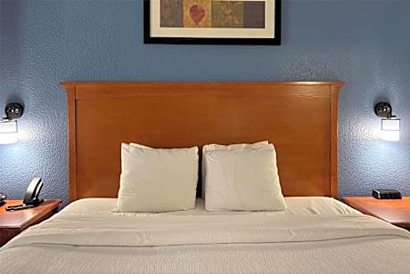 Deluxe King Room Pet Friendly- Non-Smoking