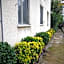 Il Giardino Di Vico Neve