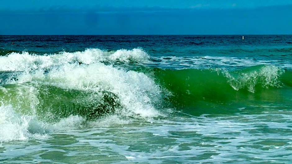 Harbourside 7718- Premier