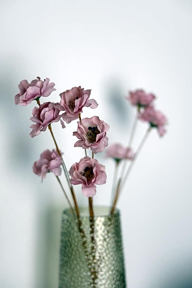 MELIGEO Suites Center of IOANNINA