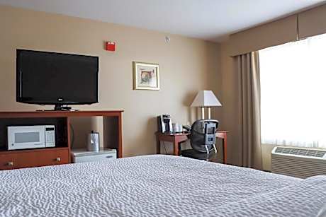 Standard King Room with Mobility Accessible Roll-In Shower