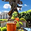 HOTEL MESON POSADA