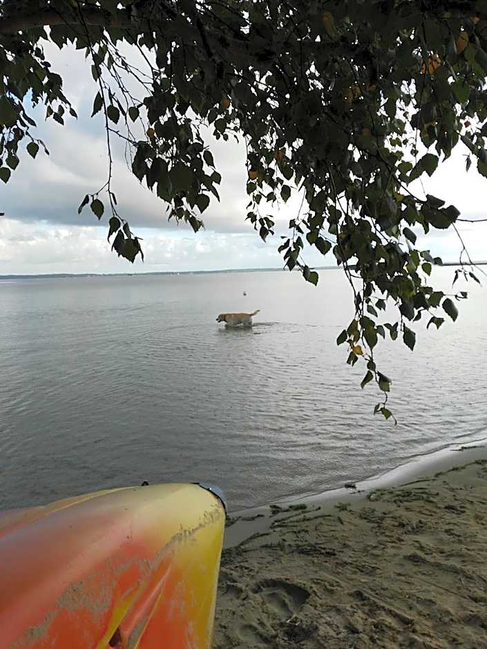 MOBIL HOME 43 dans Camping 4 Etoiles