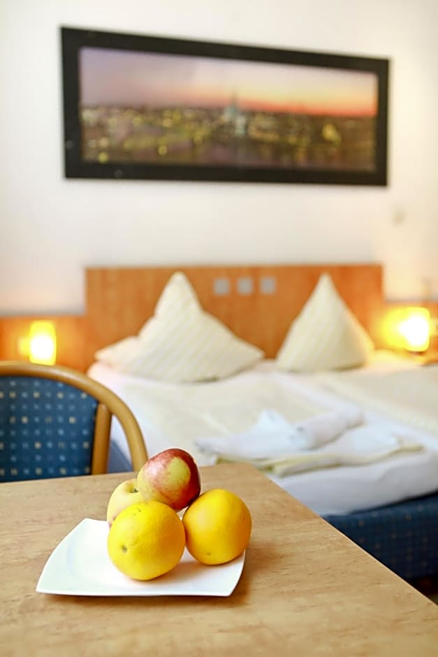 City Hotel Storch