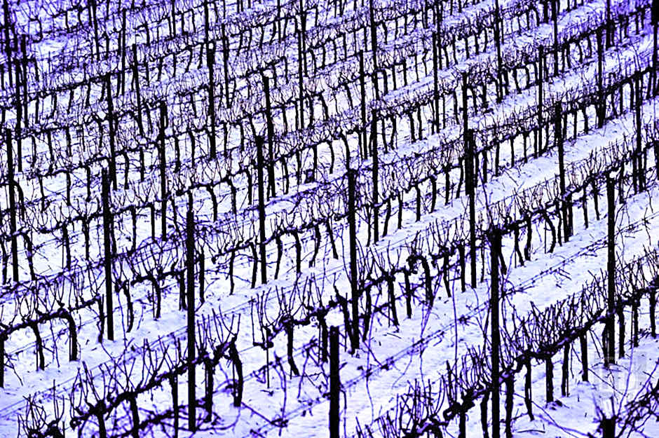 Hotel La Fonte Del Cerro