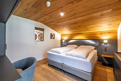 Double or Twin Room with Mountain View