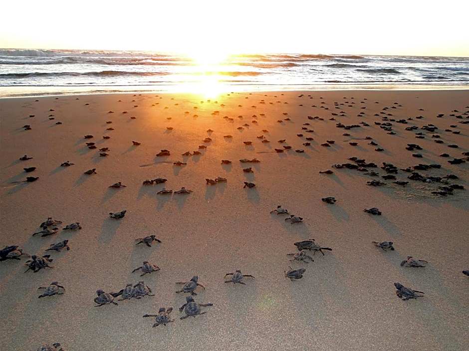 Luxury Suites By Estrella del Mar