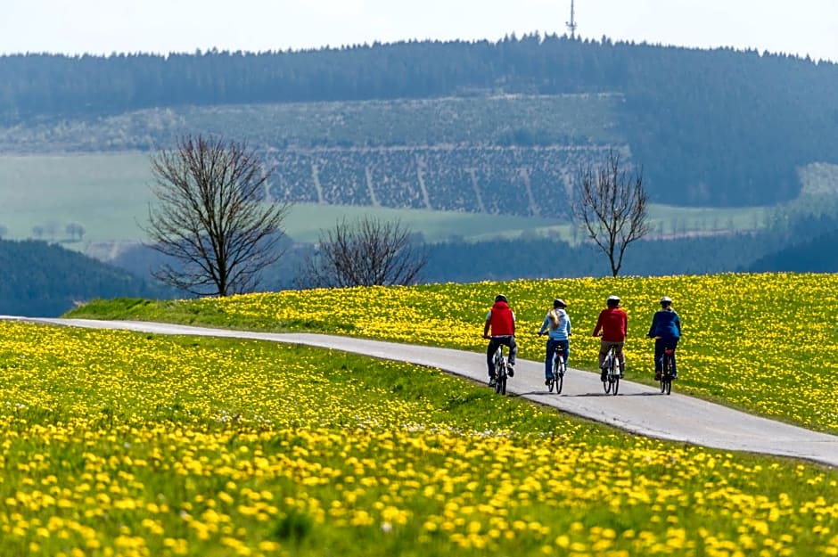 Sauerland Alpin Hotel