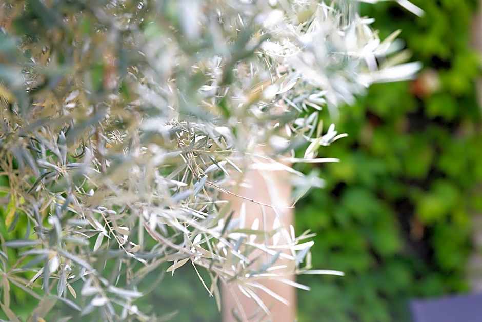 Domaine la Pierre Blanche