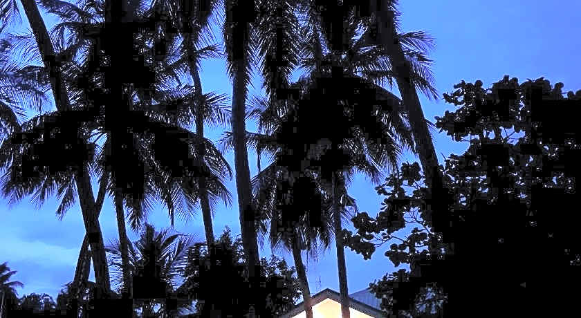 Vaali Maldives Island Escapes & Dive