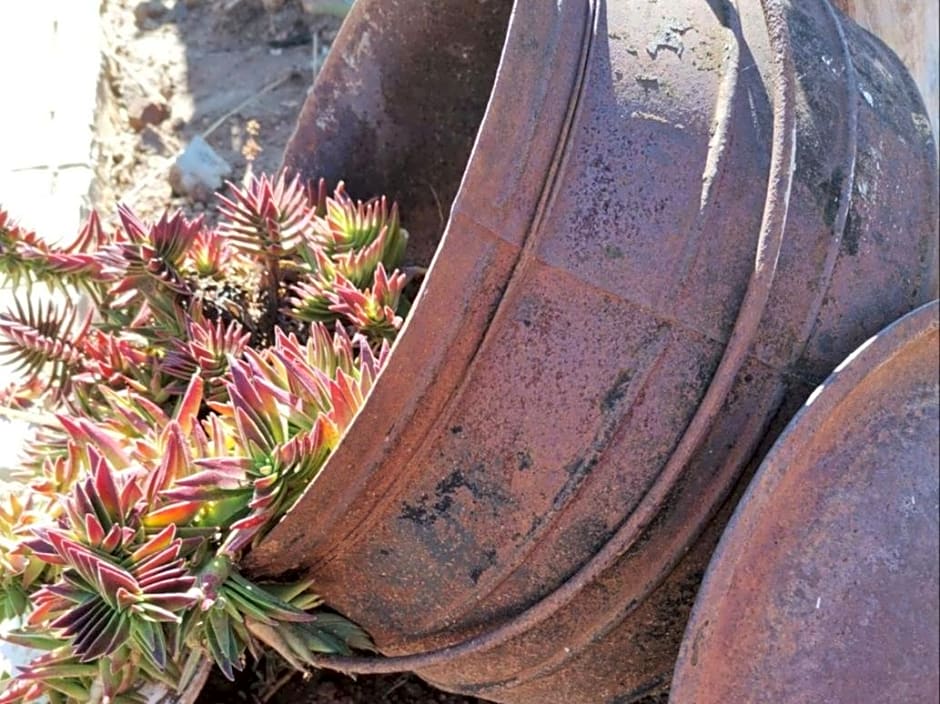 Monakaladi Gardens Function Venue and Homestead