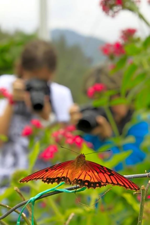 Estelar Recinto Del Pensamiento Hotel Y Centro De Convenciones
