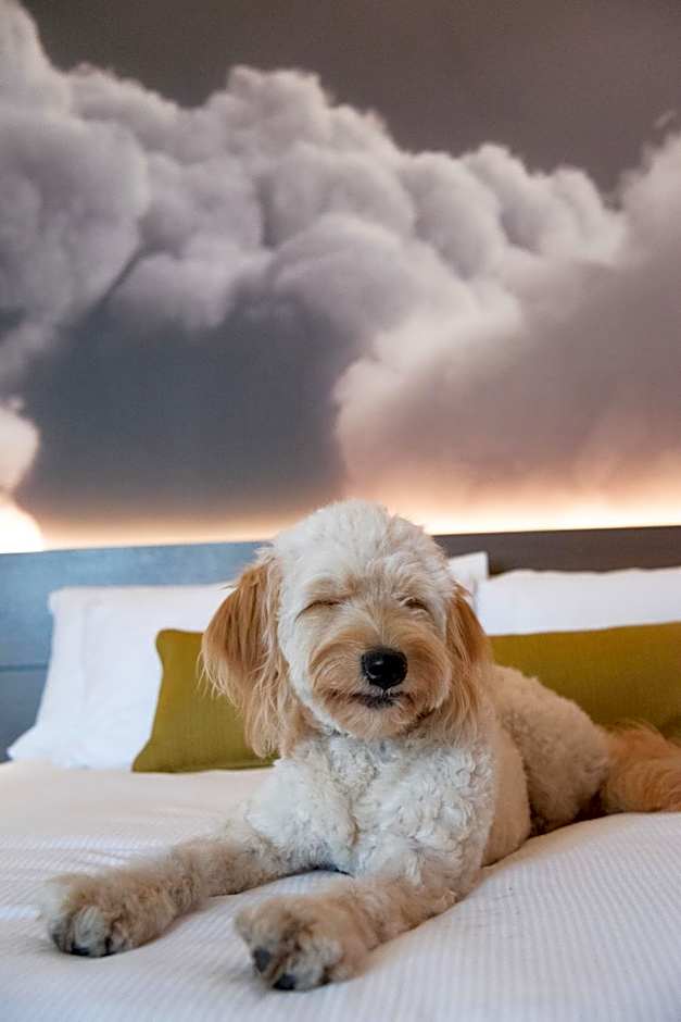 Novotel Toronto Centre