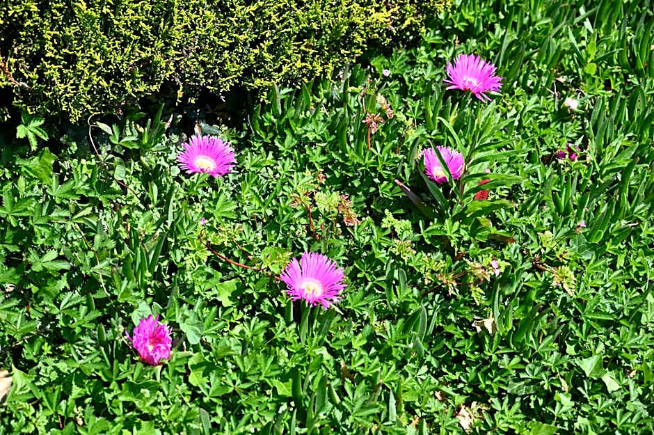 Logis Hôtel La Demeure du Perron