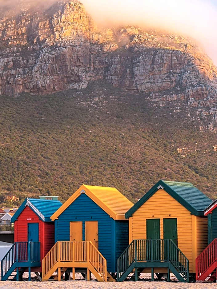 Cape Nomads