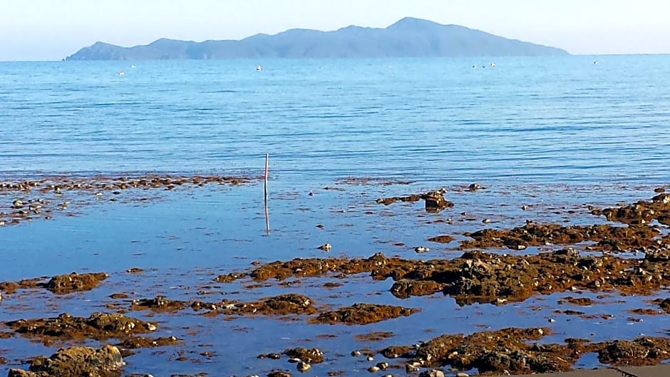 Kapiti Waves