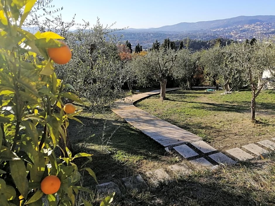 Les lodges de l'oliveraie de Virevent