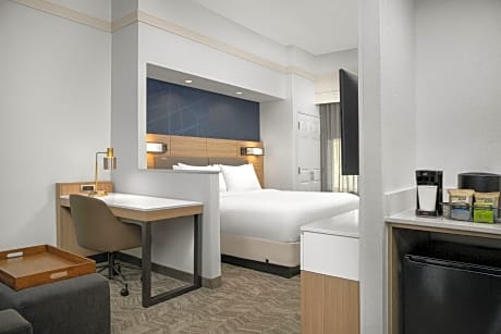 Studio, 1 King Bed with Sofa bed (1 King Bed and 1 Double Sofa Bed)