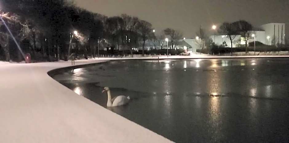 Elmswood Guest House