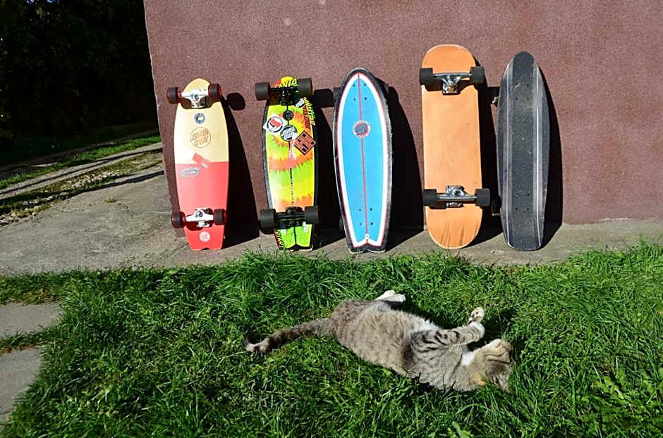 Hostel Mamas & Papas