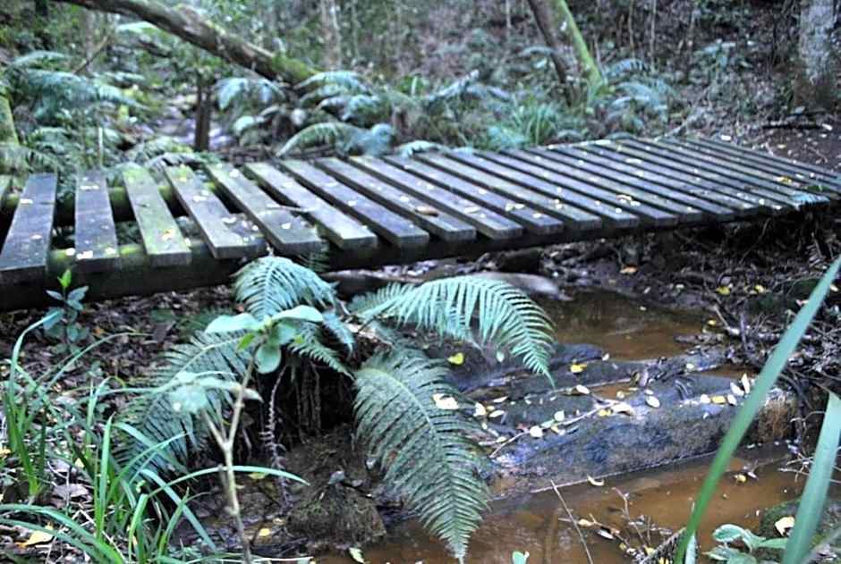 Misty Mountain Reserve