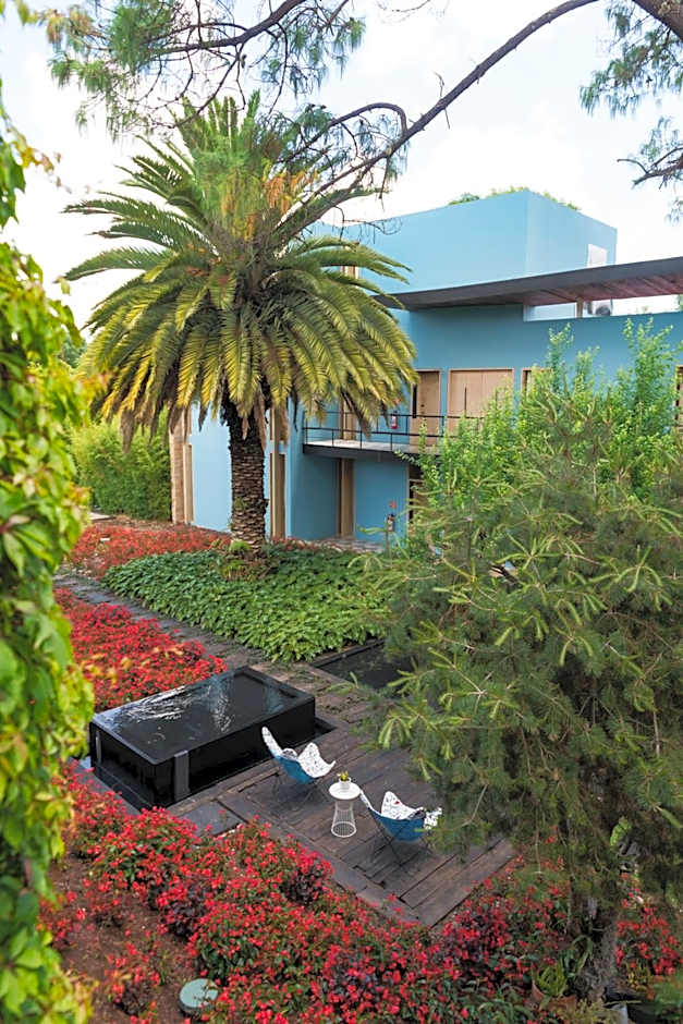 Hotel Bo