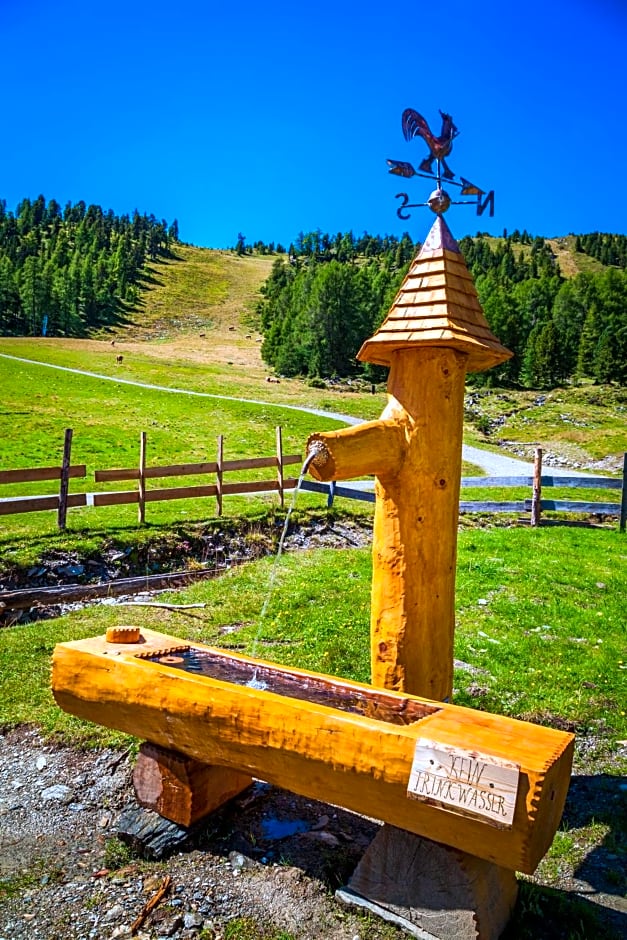 Ferienhütte Hoitahüttl