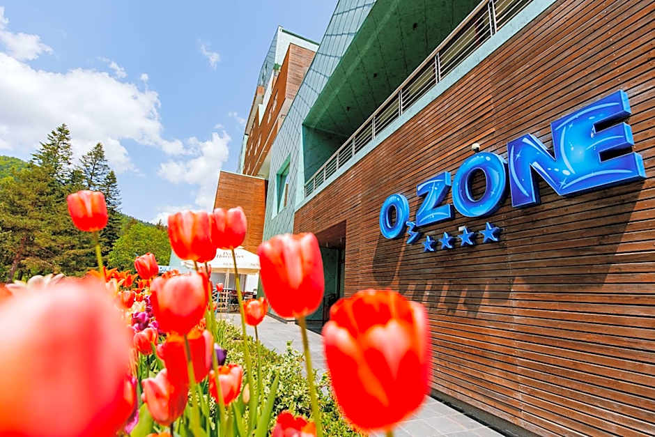 Hotel O3zone
