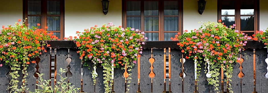 Genusshotel Hirschen - Erholung im Grünen (Südschwarzwald)