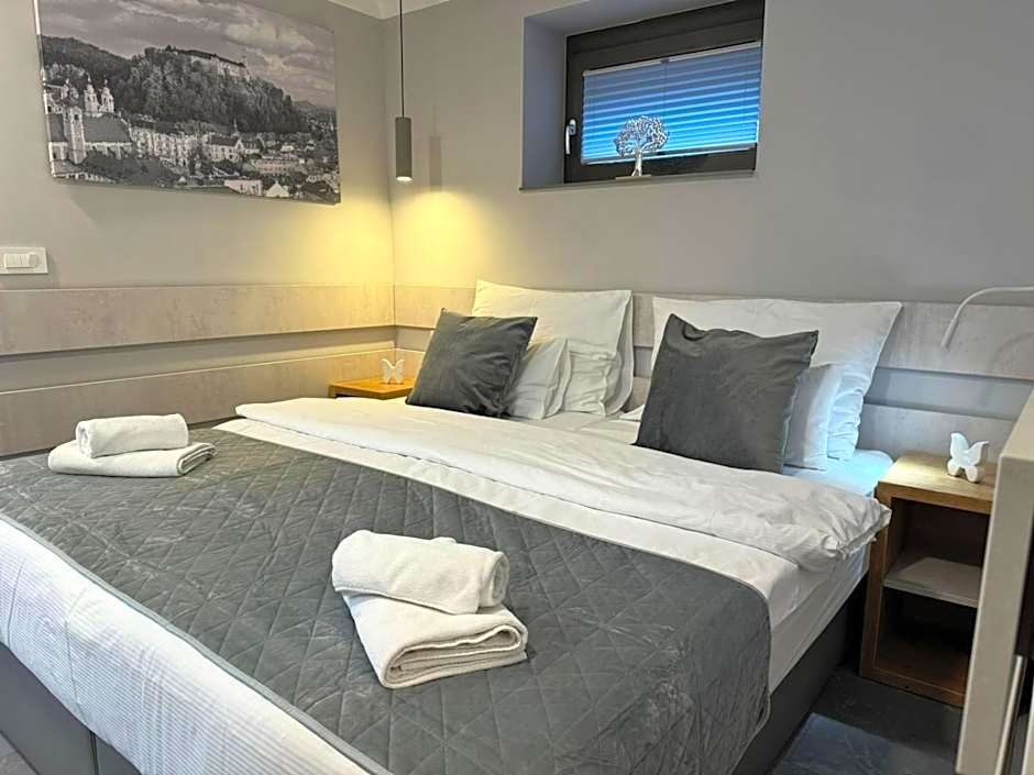 Vila Emona - Central Apartments - Free Parking