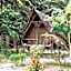 Tailana Island Pulau Banyak