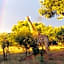 Lindani Game and Lodges