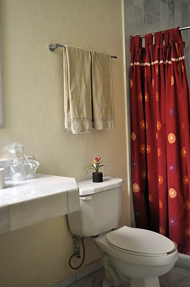 Hotel Flamingo Kristal