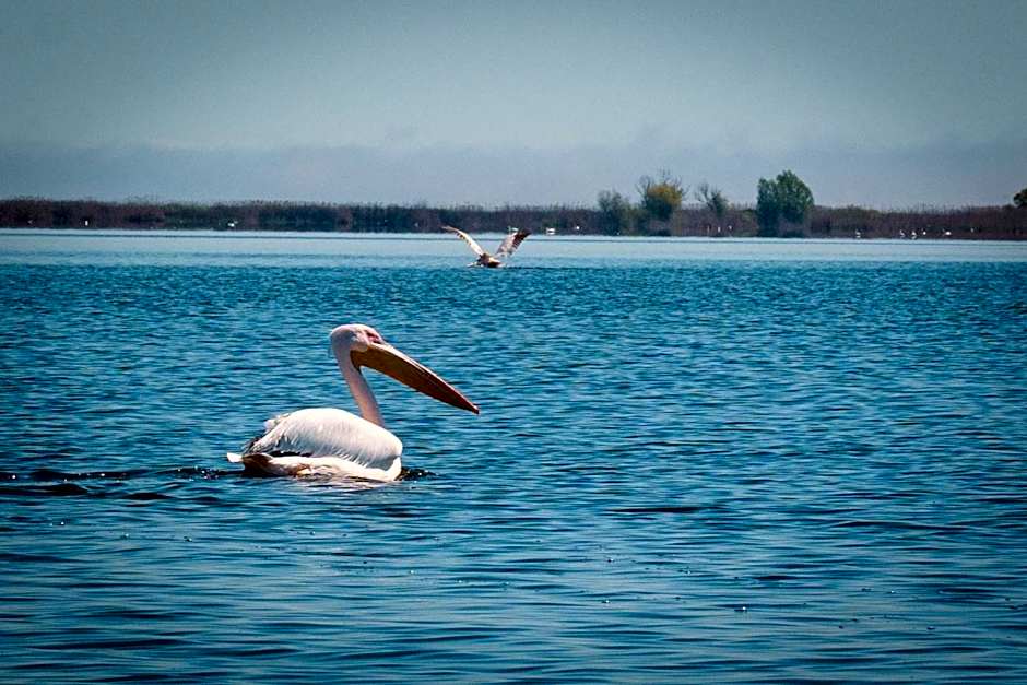 LivingIn Delta - Casa de Vacanta